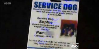 Today on BillTV… Service Dog Scam - Vimeo thumbnail