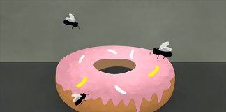 Doughnut With Flies On it