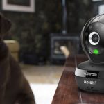 Forget The Smart Home, Here’s The Smart Doghouse