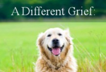 Coping with Pet Loss