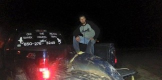 Florida Fisherman Reels 600 Mako Shark