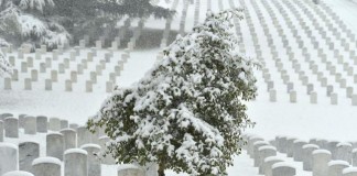 Arlington National Cemetery Washington