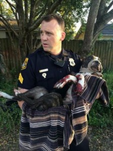 Florida-dog-survives-three-gunshots