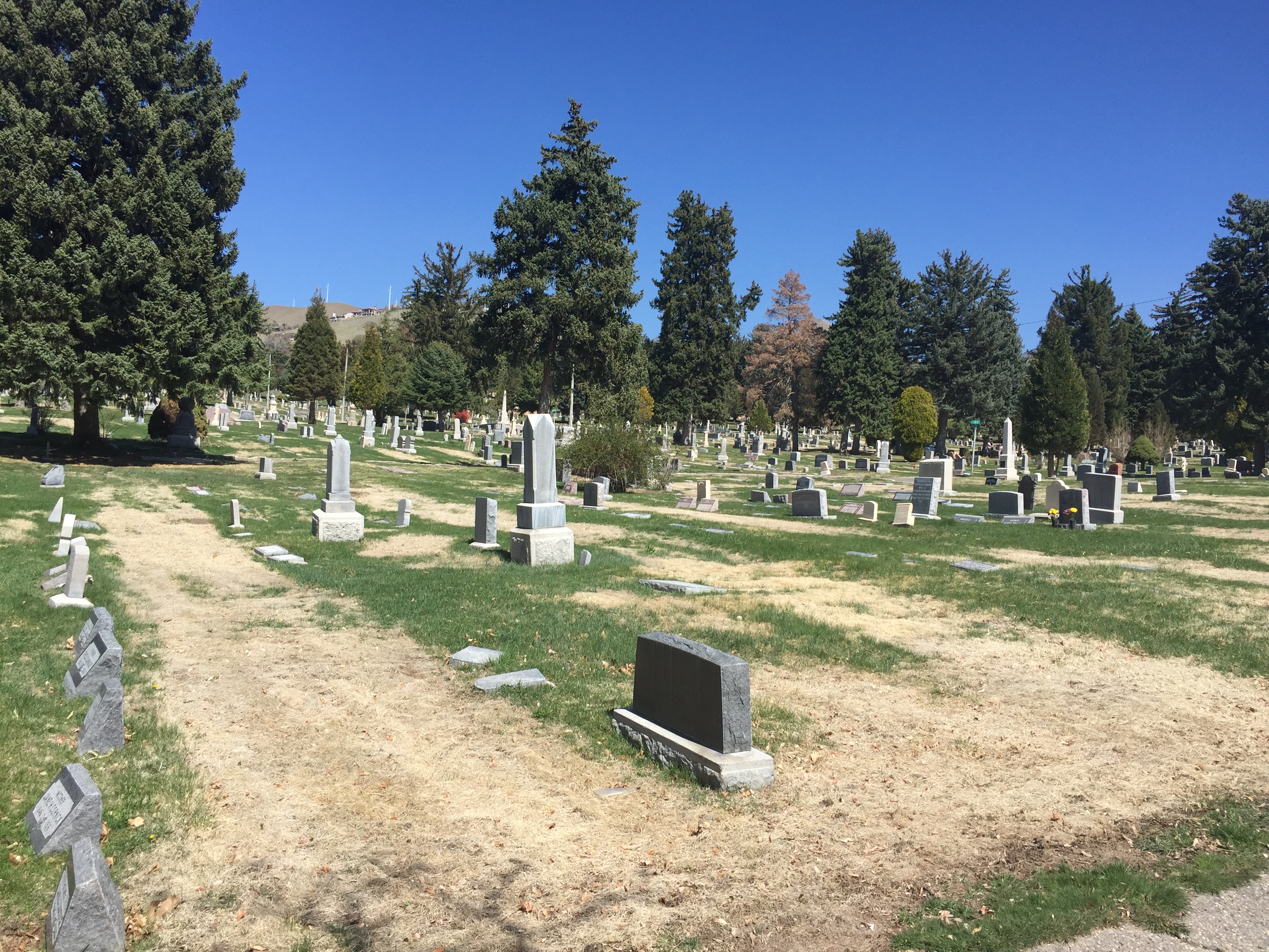 Forty One Acres Damaged In Salt Lake City Cemetery | Gephardt Daily