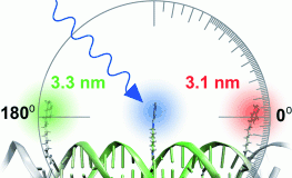 Molecular