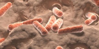 Microbiome Linked to Psychiatric Disorders