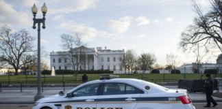 White House Fence Jumper