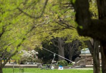 Small Aircraft Lands on Capitol Lawn