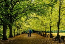 Walking Improves Health Prostate Cancer