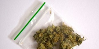 Bag of Marijuana