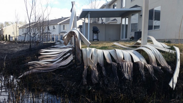 Murray Grass Fire