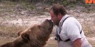 A BEar That is a Pet