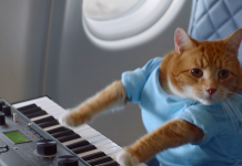 Delta Airlines Releases New Safety Video
