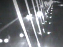 Man Fell off Florida Bridge