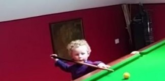 Irish 3YO Adam Wynne