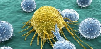 Molecules Kills Cancer Cells,