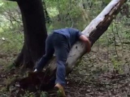 Anthony Zettel Tackles a Tree
