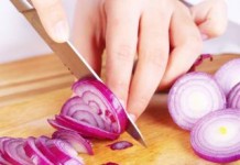 Onion Cells into Artificial Muscles