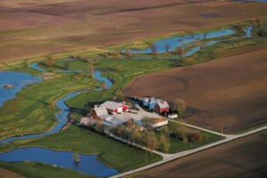 Study-Wetlands-help-reduce-nitrates
