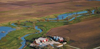 Wetlands Help Reduce Nitrates