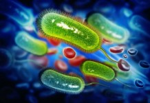 Testing Antibiotics Against Bacteria Faster