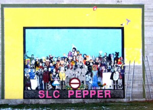 SLC Pepper 