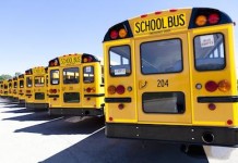 School Bus Hits Man In South Salt Lake Crosswalk