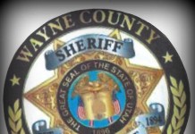 Homicide In Wayne County
