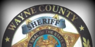 Homicide In Wayne County