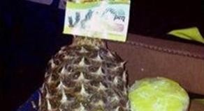 440 Pounds of Cocaine Found In Pineapples