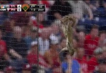 Squirrel Steals the Show at Cardinals-Phillies Game