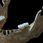 Romanian Man was Closely Related to Neanderthals
