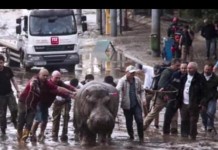 Tbilisi Zoo