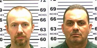 Escaped Killers: Scent Picked up