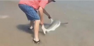 Man Helps Shark in North Carolina