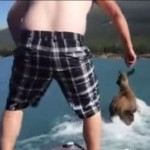 Jumps from Boat to Moose's Back