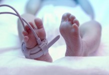 Birth Rate Among U.S. Women Increases