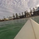 Surfer Stalked by Great White Shark