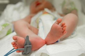 Milking the umbilical cord before cutting it was shown in a study to improve blood flow in pre-term infants delivered by cesarean section. Photo: Praisaeng/Shutterstock