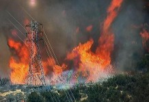 The Calgrove Fire burns near Santa Clarita, Calif