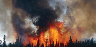 Alaska Wildfire