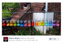 Baltimore Yard 'Relentlessly Gay'