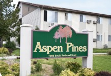 Aspen Pines