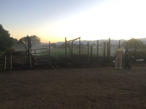 Nine horses and other livestock died earlier Monday morning in a West Valley City barn fire - Photo: West Valley City Fire Department