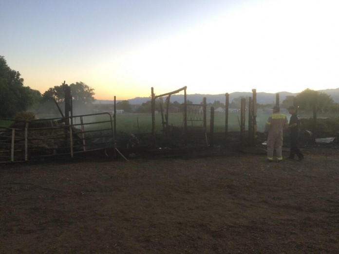Nine Horses and Other Livestock dead in West Valley Barn Fire