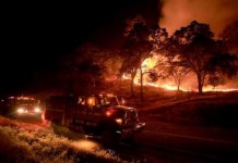 Napa Valley Wild Fire In California