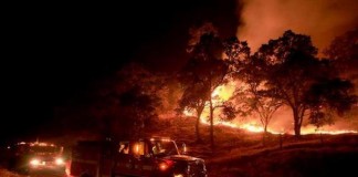 Napa Valley Wild Fire In California