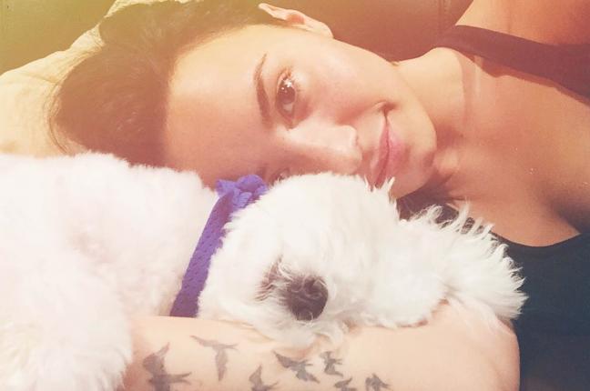 demi-lovato-s-pet-dog-dies-in-accident-gephardt-daily