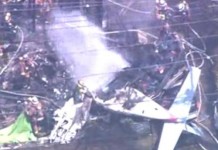 Light Plane Crash Killing Three in Tokyo
