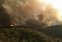 Northern California  Rocky Fire